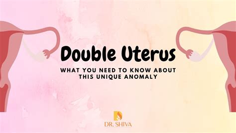 I have two uteruses